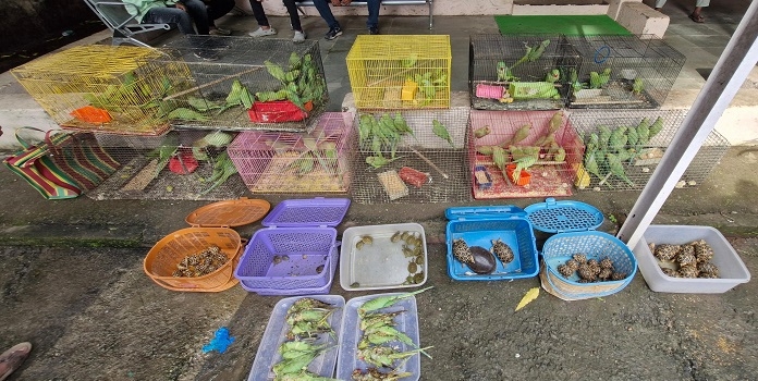 wildlife seized from crawford market