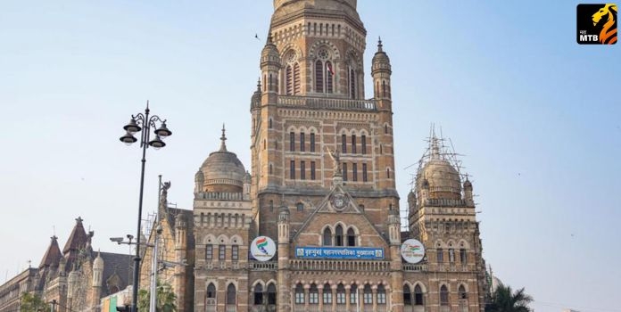 BMC Elections