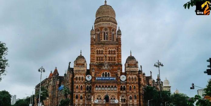 BMC Elections