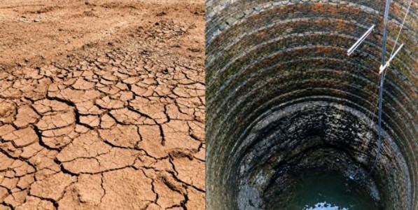 तूर जळाली, विहिरी आटल्या; सोलापुरातील दुष्काळाची केंद्रीय पथकाकडून पाहणी