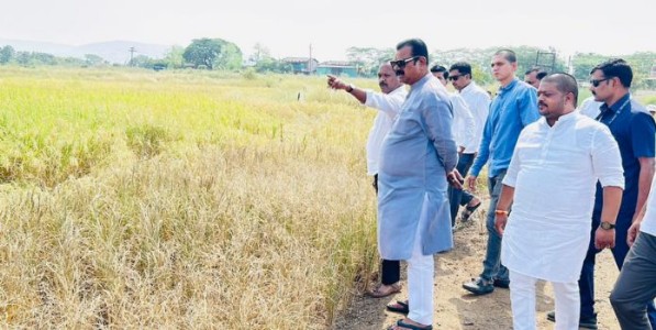 माजी केंद्रीय राज्यमंत्री कपिल पाटील यांच्याकडून; शहापूर तालुक्यातील दुष्काळाची पाहणी