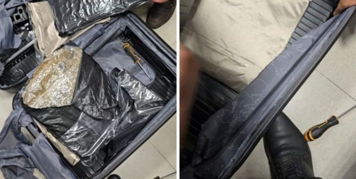 (Hydroponic Cannabis Seized at Pune Airport)