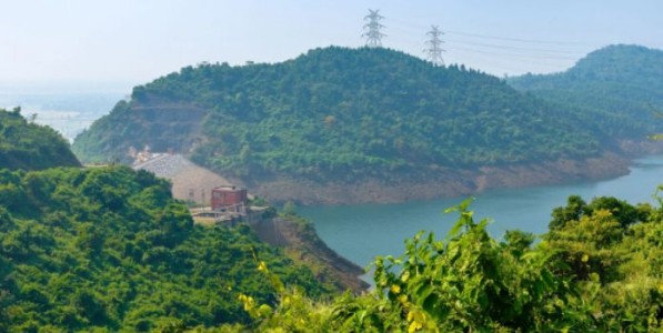 ३२ हजार झाडांच्या वृक्षतोडीवरून वाद; ३० हजार कोटींची गुंतवणूक