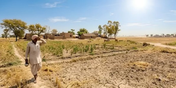 Maharashtra Drought Relief
