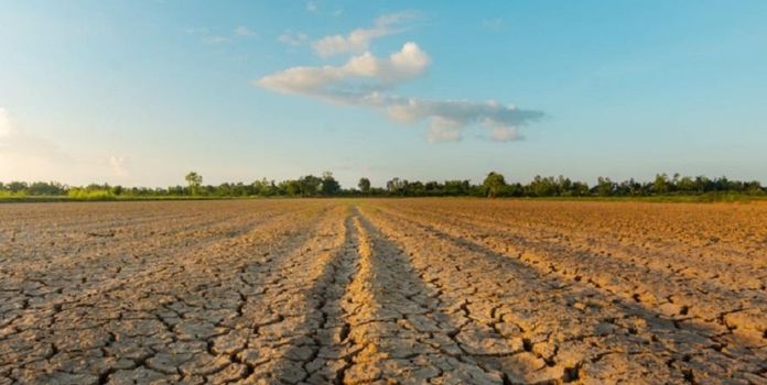 Nashik Singhstha Drought