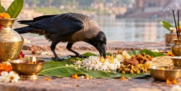 विलक्षण श्राद्धपरंपरांचा पितृपक्ष!
