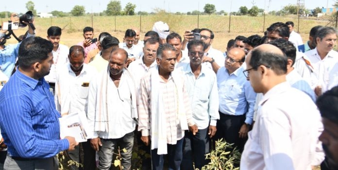 36 talukas drought survey