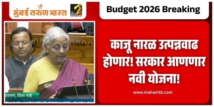 Nirmala Sitharaman on Budget 2026