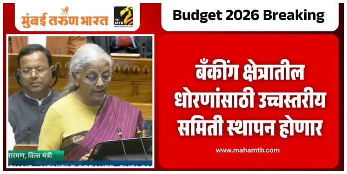 Nirmala Sitharaman on Budget 2026