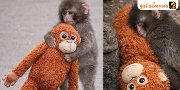 ‘पंच’ची मिठी आणि अस्तित्वाचा संघर्ष