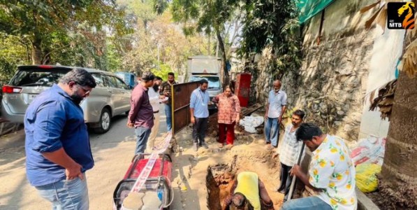 विकास आराखड्यानुसार किती भूखंड ताब्यात? सुधार समितीत स्वप्ना म्हात्रे यांचा सवाल