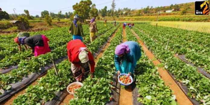 Women Farmers Empowerment