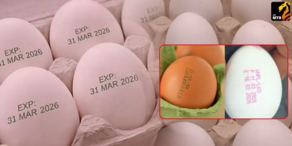 Egg Expiry Date: आता अंड्यावरही एक्सपायरी डेट! १ एप्रिलपासून नवा नियम, जुनी अंडी विकली तर...