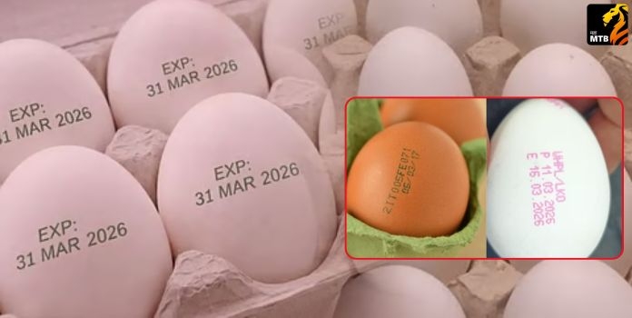 Egg Expiry Date