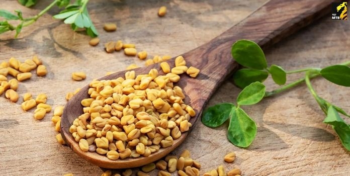 Fenugreek Seeds
