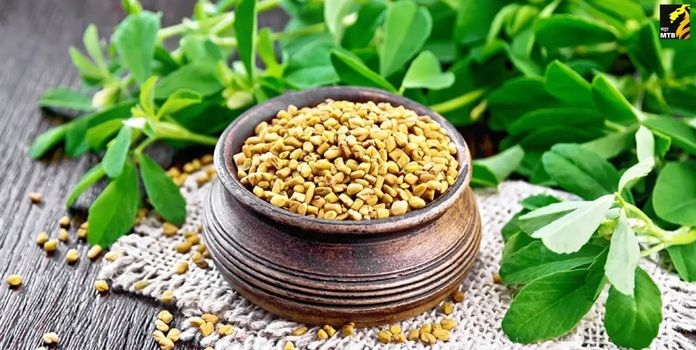 Fenugreek Seeds