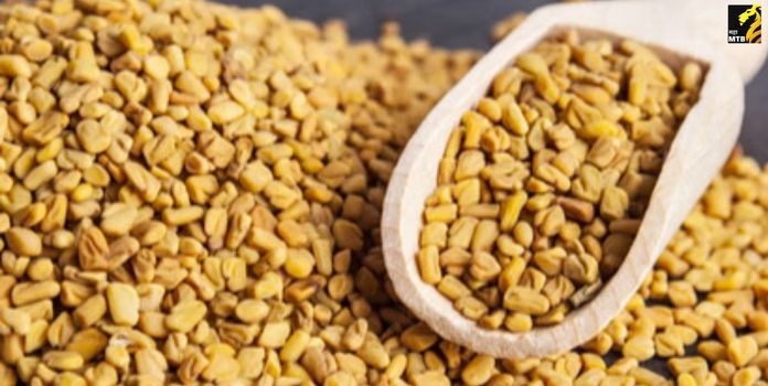 Fenugreek Seeds