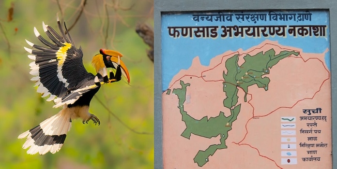 phansad wildlife sanctuary