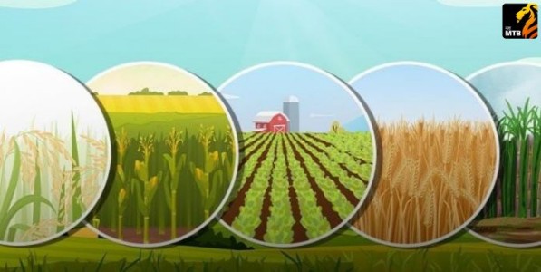 शेतामधील वनस्पती वैविध्य