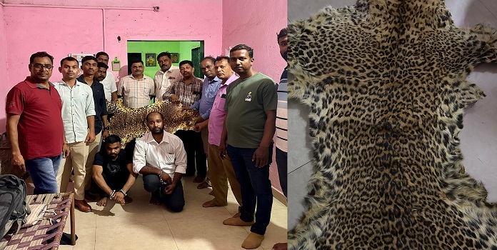 leopard poached in sgnp