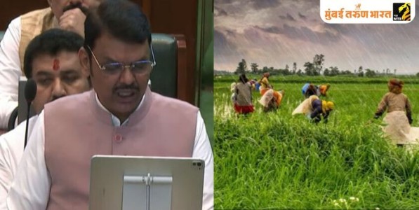 पीककर्ज देण्याचा अधिकार असलेल्या कुठल्याही बँकेने दिलेले कर्ज माफ होणार; मुख्यमंत्री देवेंद्र फडणवीस