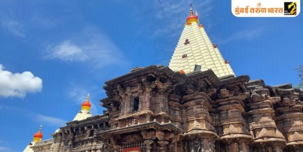 नारायणी नमोस्तुते ...