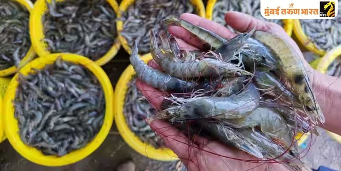 Maharashtra’s Fish Exports