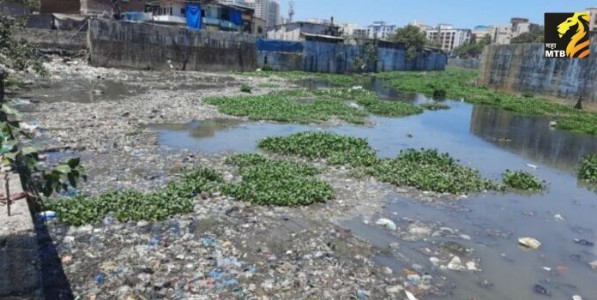 Mithi River : मिठी नदी स्वच्छतेसाठी ३०.८४ कोटींचे प्रस्ताव आज स्थायी समितीसमोर मंजुरीसाठी