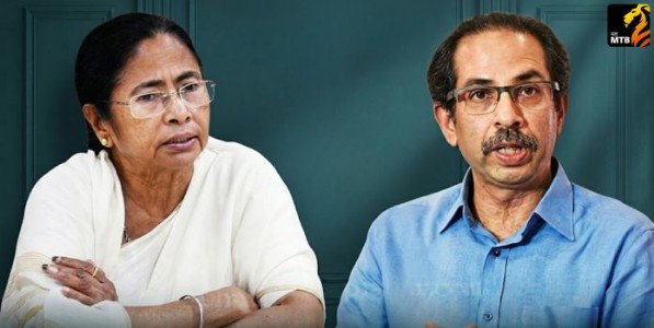 वाघिणीमागचे कोल्हे!