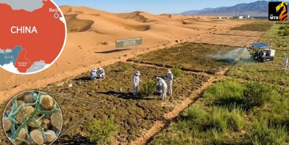 मातीतलं सोनं