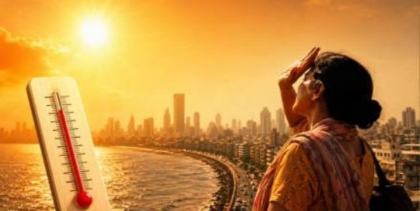 राज्यात उष्णतेची तीव्र लाट; हवामान विभागाचा इशारा...