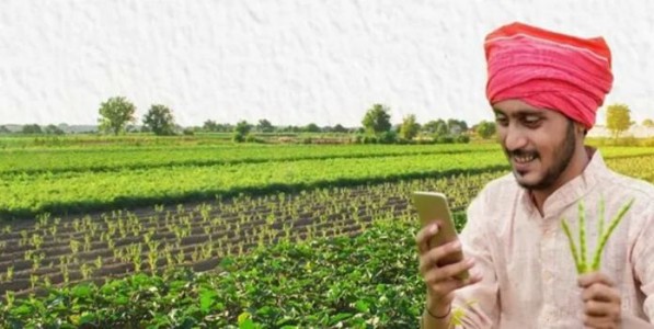 Farmer ID : फार्मर आयडी; २० मे पूर्वी नोंदणी करण्याचे आवाहन