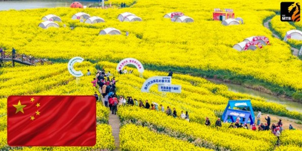 वसंत बहार...