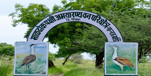 सोलापूरच्या मानद वन्यजीव रक्षकपदी वनअपराध्याची नियुक्ती ? नियुक्तीच्या चौकशीचे पुणे वनसंरक्षकांचे आदेश