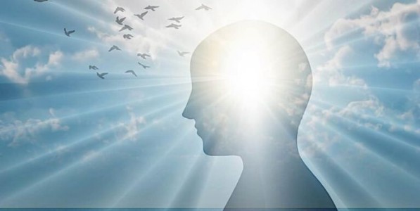 धारणीय वेग भाग १५; मन - उभयात्मक इंद्रिय