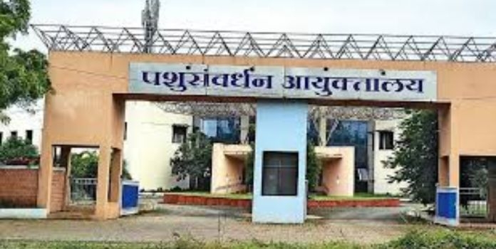 Ban on Cow Slaughter