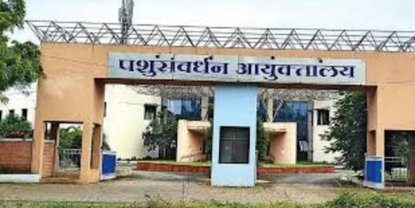 अनधिकृत कत्तलखान्यांवर प्रतिबंध; गोतस्करी करणाऱ्यांवर मकोका अंतर्गत कारवाई