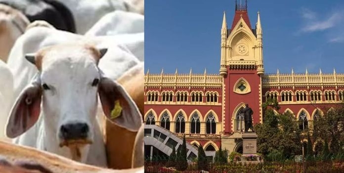 Society Slaughter Law Bengal