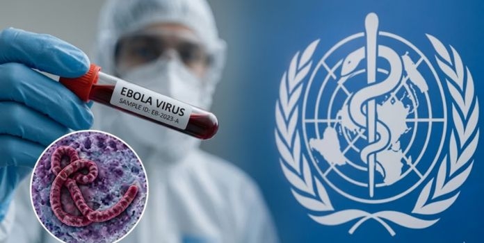 Ebola Virus