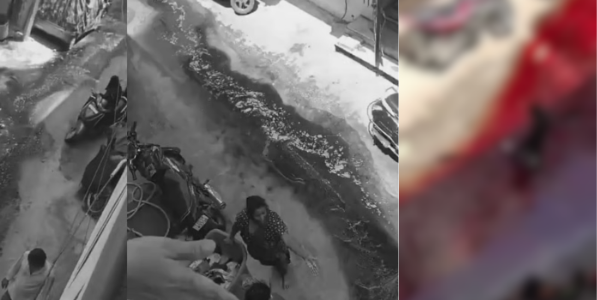 बकरीदला तेलंगणातल्या रस्त्यांवर रक्ताचे पाट; नागरिकांमध्ये प्रचंड संताप
