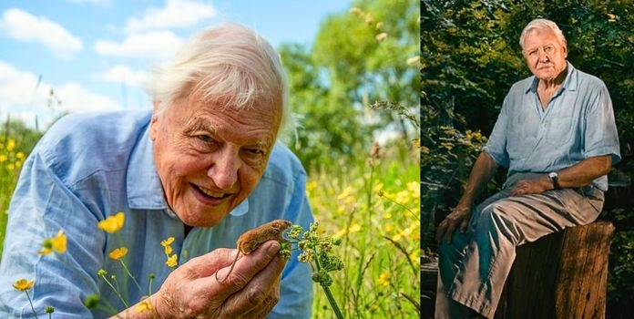 David Attenborough Turns 100