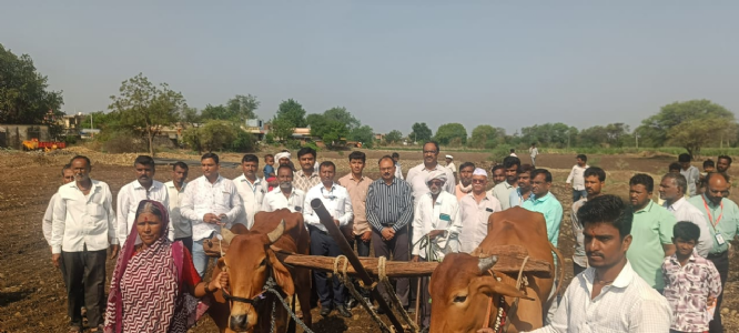 बैल दगावल्याने शेतकरी पत्नीवर जोखडाला जुंपण्याची वेळ, मुख्यमंत्र्यांकडून तात्काळ दखल; अवघ्या काही तासांत मिळाली बैलासह नुकसानभरपाई 