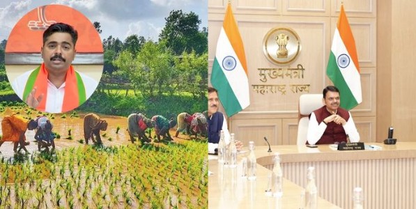 शेतकऱ्यांचा खरा भाऊ म्हणजे देवाभाऊ आहेत - नवनाथ बन