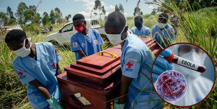 Ebola Outbreak