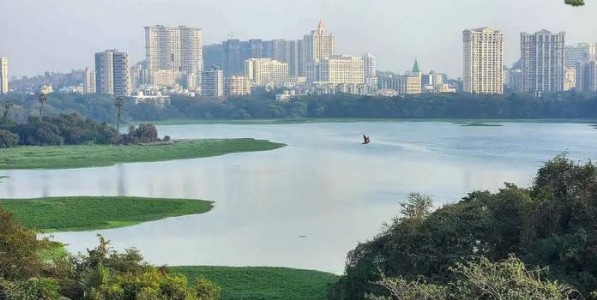 ऑक्टोबरपासून पवई तलाव होणार सांडपाणीमुक्त; १.८५ कोटींच्या सल्लागार नियुक्तीवर स्थायी समितीत खडाजंगी