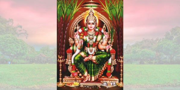 सौंदर्यलहरी भाष्य ||