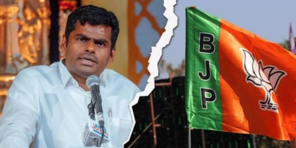 भाजप सोडणार की पक्षातच राहणार? अण्णामलाईंचे वेट अँड वॉच, दिल्ली बैठकीत पक्षश्रेष्ठींनी काय सांगितलं?