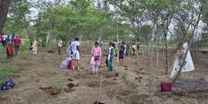 Tree Plantation Kalyan