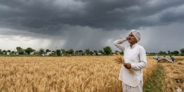 किमान १५ जूनपर्यंत राज्यात सर्वत्र मान्सूनच्या पावसाची शक्यता कमी; मान्सून कोकणात दाखल झाला, पण सर्वदूर सक्रिय नाही; शेतकऱ्यांनी पेरणीची घाई करू नये