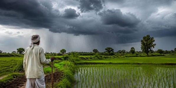 मान्सूनचा ब्रेक! १५ जूनपर्यंत पावसाचा जोर कमी; शेतकऱ्यांनी पेरणीची घाई करू नका, सरकारचा इशारा